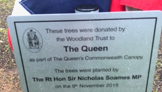 Queen’s Commonwealth Canopy